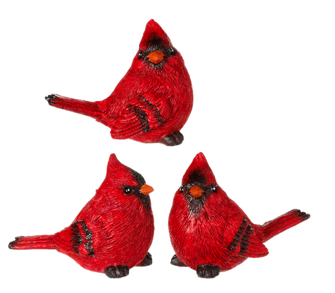 3.25" Cardinal RAZ Imports