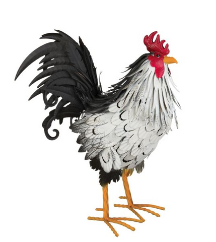 Sussex Rooster Regal