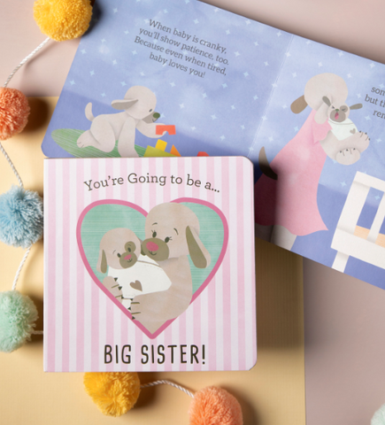 You're Going To Be a Big Sister Book Demdaco