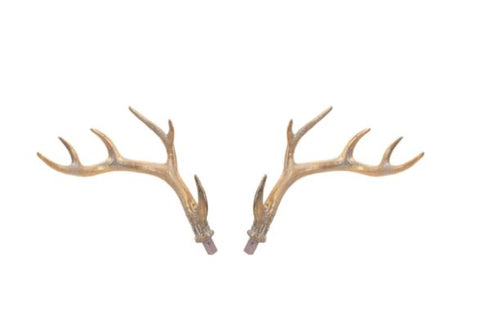 OVERSIZED STAG HEAD FIG RESIN Ganz