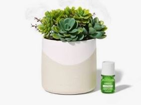 Lifelines Planter Diffuser - Two Tone (Succulent) Lifelines
