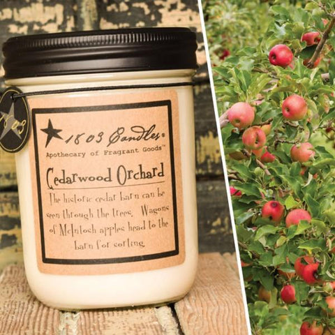 Cedarwood Orchard-14oz Jar Candle - Treehouse Gift & Home