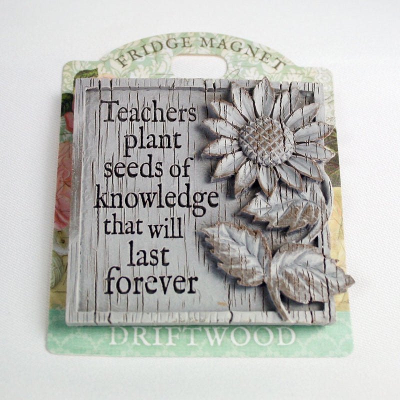 teachers plant seeds of knowledge that grow forever Driftwood Magnets