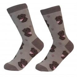 Labrador Chocolate Socks - Treehouse Gift & Home