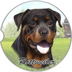 Rottweiler Car Coaster - Treehouse Gift & Home