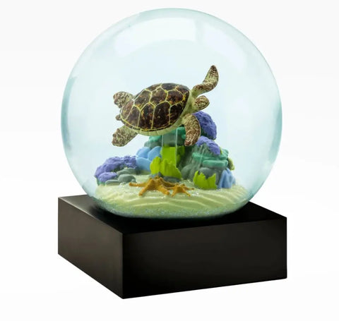 Sea Turtle Snow Globe Cool Snow Globes